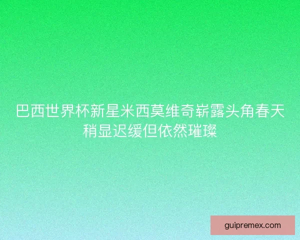 巴西世界杯新星米西莫维奇崭露头角春天稍显迟缓但依然璀璨 巴西世界杯新星米西莫维奇崭露头角春天稍显迟缓但依然璀璨
