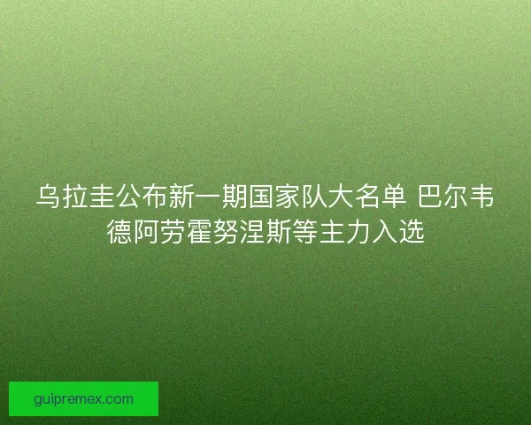 乌拉圭公布新一期国家队大名单 巴尔韦德阿劳霍努涅斯等主力入选 乌拉圭公布新一期国家队大名单 巴尔韦德阿劳霍努涅斯等主力入选